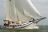 Witte Swaen